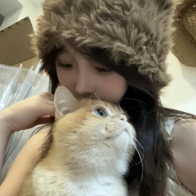 灵探特莱丝